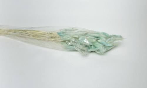 Dried Bunny Tails Lightish Blue (Pack of 60pcs) - BNBA
