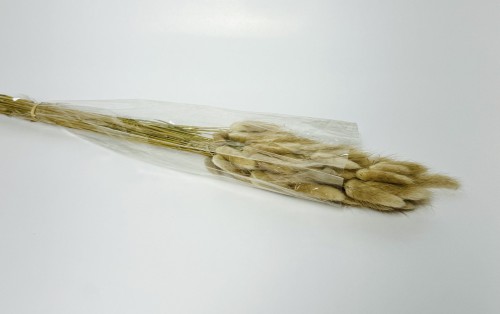 Dried Bunny Tails Natural (Pack of 60pcs) - BNBA