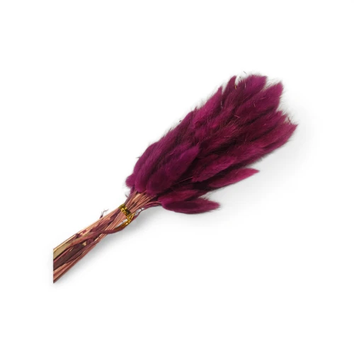 Dried Bunny Tails Cozy Red (Pack of 60pcs) - BNBA